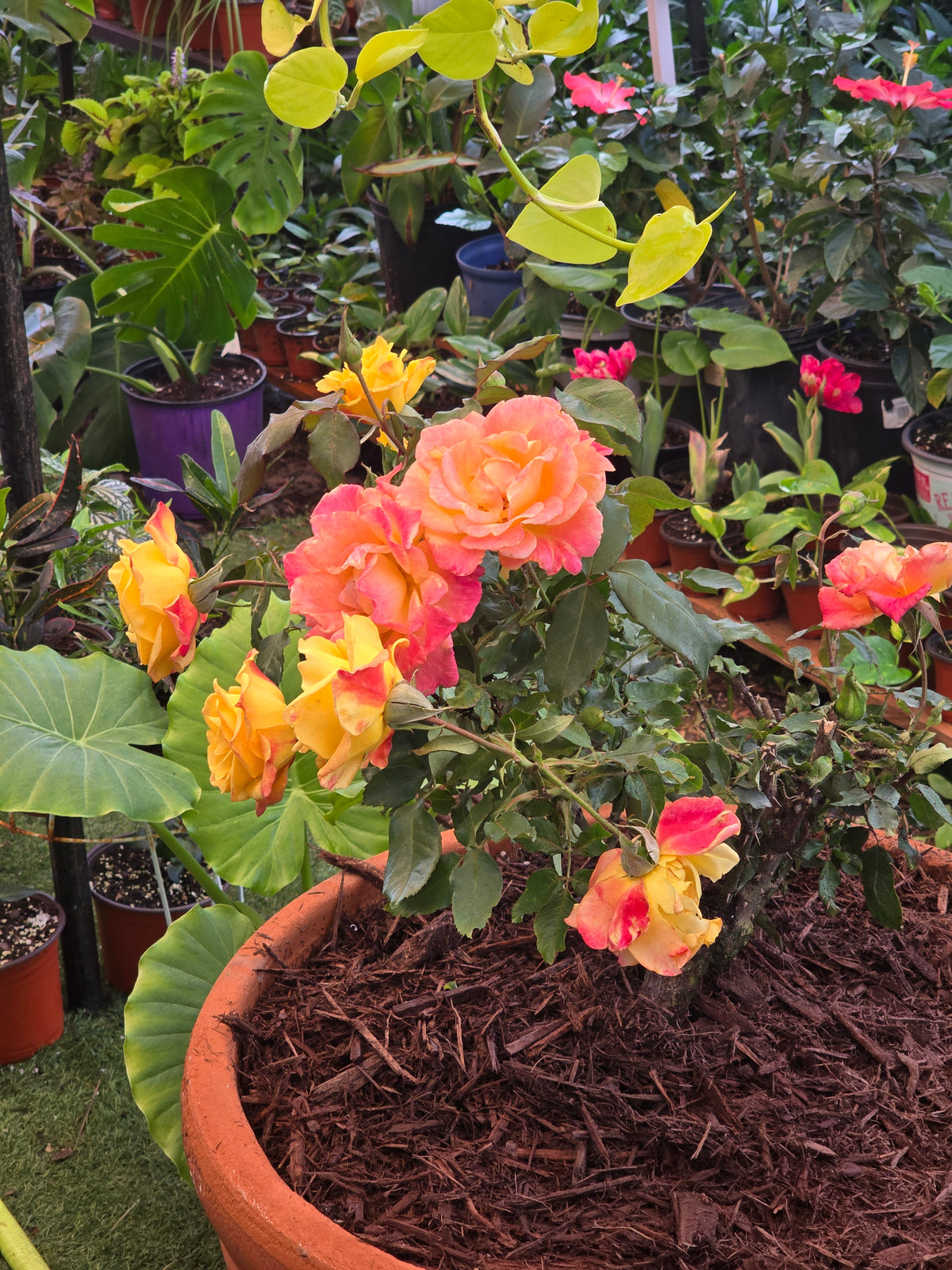 Autumns Secret Garden